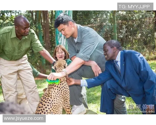 姚明携手苹果科技展现运动与创新完美结合的广告魅力